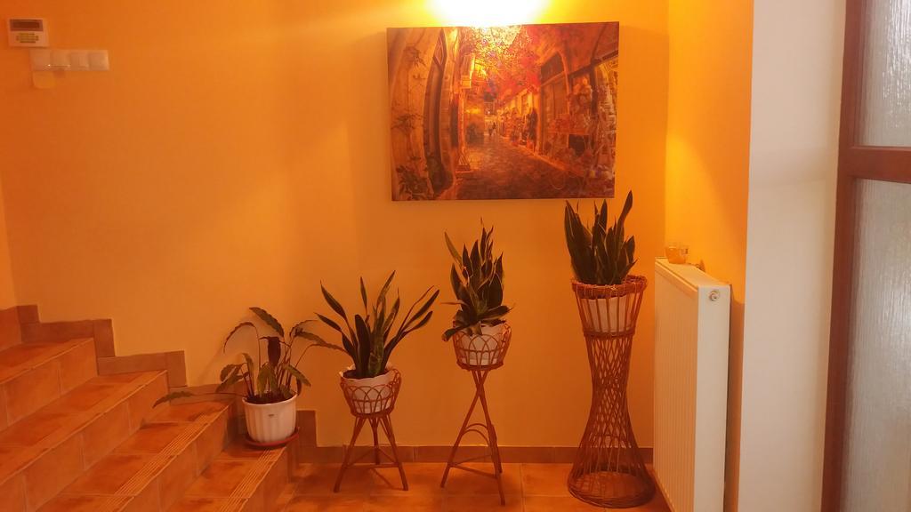 Noclegi Avoca Pyrzowice Bagian luar foto